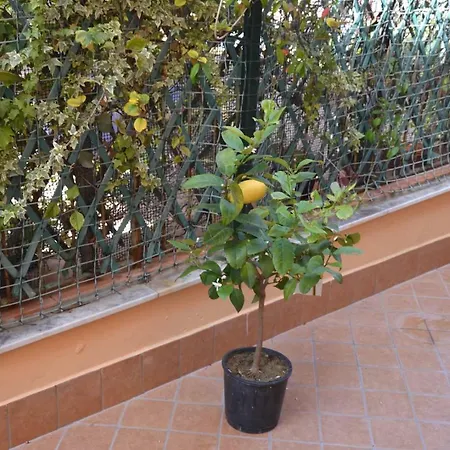 Casa Di Lia Apartment Pozzuoli